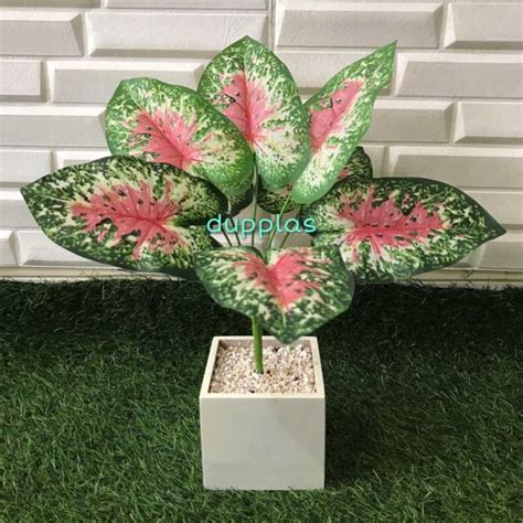 Promo Pohon Daun Sri Rejeki X Mini Artificial Pot Kayu Kotak Putih