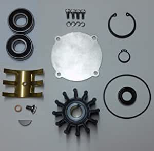 Amazon Scp Major Repair Kit For Sherwood Pumps P P P