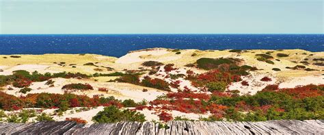 Top 18 Beach Houses In Cape Cod Instant Booking
