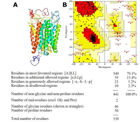 A 3d Model Of Mct8 Protein Predicted By Phyre2 16 B Protein