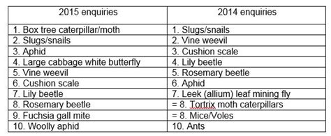 Royal Horticultural Society Announces The Top 10 Garden Pests And