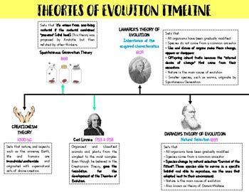 Theories of Evolution Timeline by TeachIsAllYouNeed | TpT