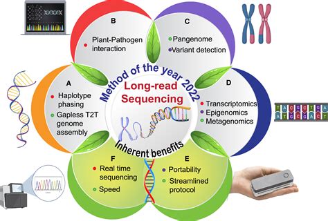 Long Read Sequencing Method Of The Year 2022 The Way Forward For Plant Omics Research