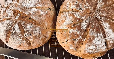 Resep Sesame Seeds Whole Wheat Bread Oleh Novi Rm Cookpad