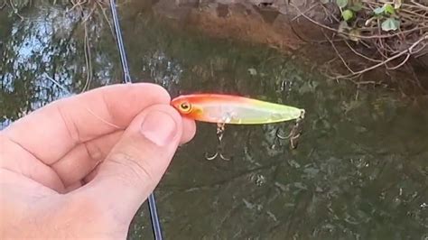 Pesca Ultra Light Micro Stick De 150 Reais Contra Isca De 1 50