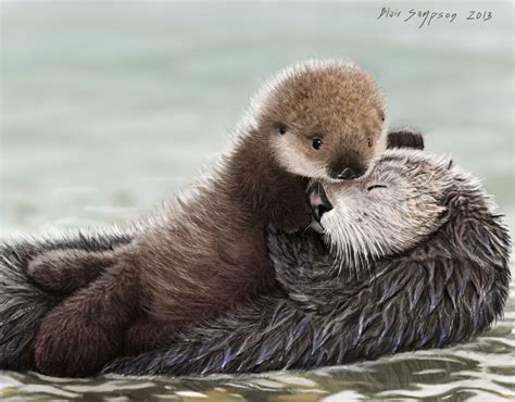 Sea Otter Pup Hugs Mom Nom Your Mom By Psithyrus Deviantart On