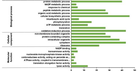 Gene Ontology Go Analysis Of Differentially Expressed Proteins Deps