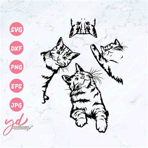 Cat Svg Cute Cat Svg File Peeking Cat Svg Cat Clipart Funny Cat Svg