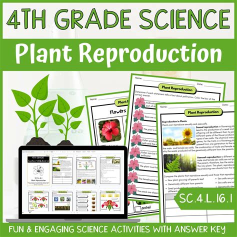 Reproduction In Flowering Plants Worksheet Best Flower Site