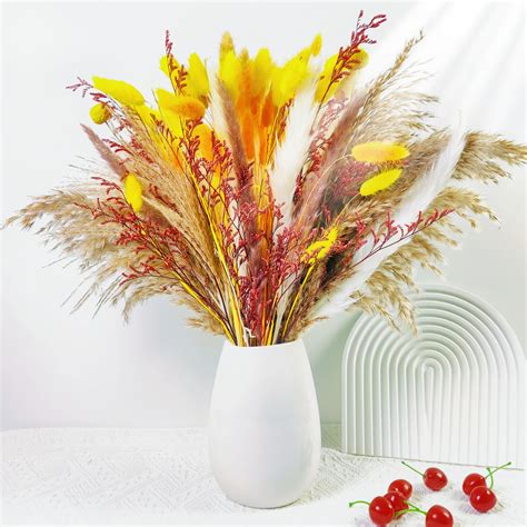 Amazon Lvydec Pcs Natural Pampas Grass Bouquet Dried Flowers