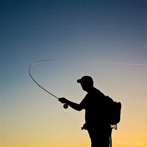 Fly Fishing Silhouette Vector at Vectorified.com | Collection of Fly ...