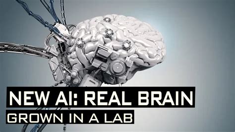 A LAB Grown AI Brain Will Defeat 100x Chat GPT Here S Why YouTube