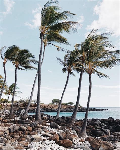 Serena Mitnik Miller On Instagram Lapakahi 700 Year Old Hawaiian