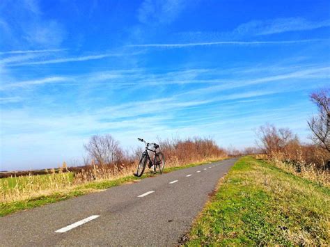 Und Verde Pentru Piste De Biciclete Ntr Un Ora Din Vestul Rii