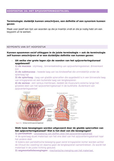 Af Key Points Het Spijsverteringsstelsel Hoofdstuk Het