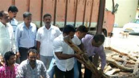 Andhra Police Arrest 63 Tamil Nadu Sandalwood Smugglers