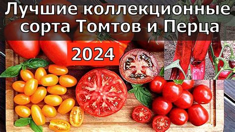 Лучшие коллекционные сорта Томтов и Перца для посадки в 2024г YouTube