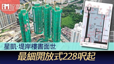 星凱‧堤岸樓書面世 最細開放式228呎起 香港經濟日報 即時新聞頻道 Imoney智富 股樓投資 D210929