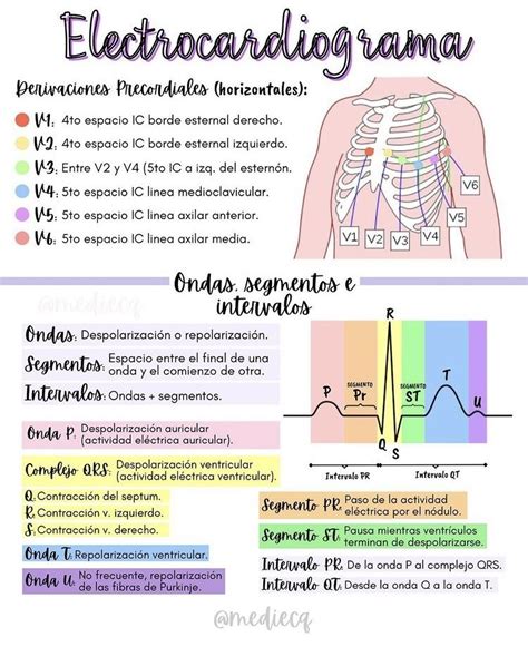 Medicine Notes Vet Medicine Medicine Student Nursing School