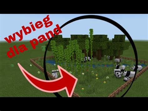 Buduję wybieg dla pand w minecraft YouTube