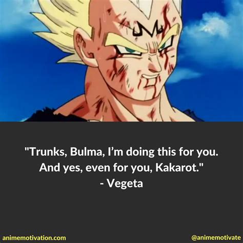 The Greatest Vegeta Quotes Dragon Ball Z Fans Will Appreciate Dragon