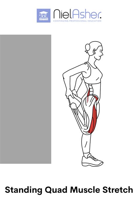 The Unique Trigger Point Vastus Medialis Quad Muscles Muscle