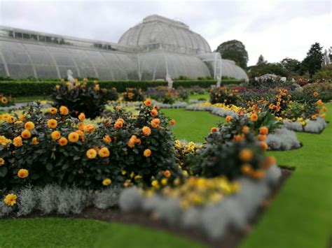 Kew Gardens With Or Without The Kids Glorious In Every Season