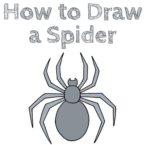 How to Draw a Spider - Draw for Kids