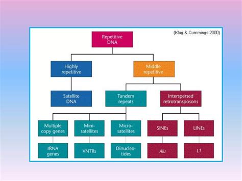 Genome concept, types, and function | PPT