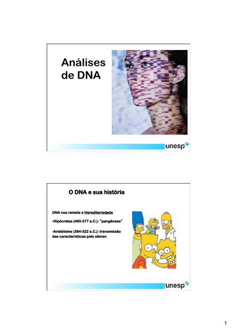 PDF Análises de DNA ibb unesp br Estrutura do DNA Watson Crick