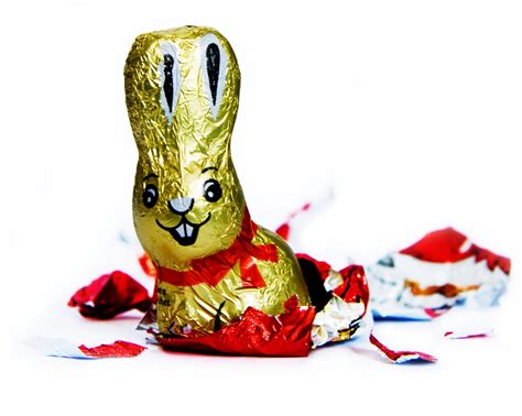 Chocolate bunny Free Photo Download | FreeImages