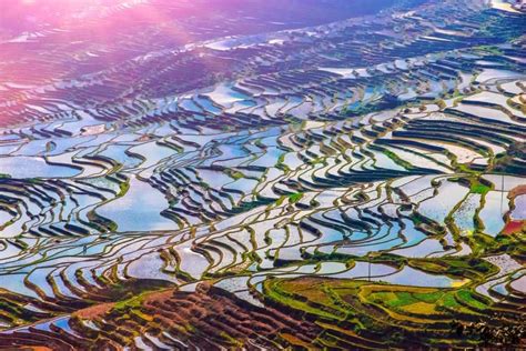 How to Visit China’s Rice Terraces | WildChina