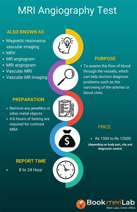 MRI Angiography Price, Purpose, Procedure, Results [2025]