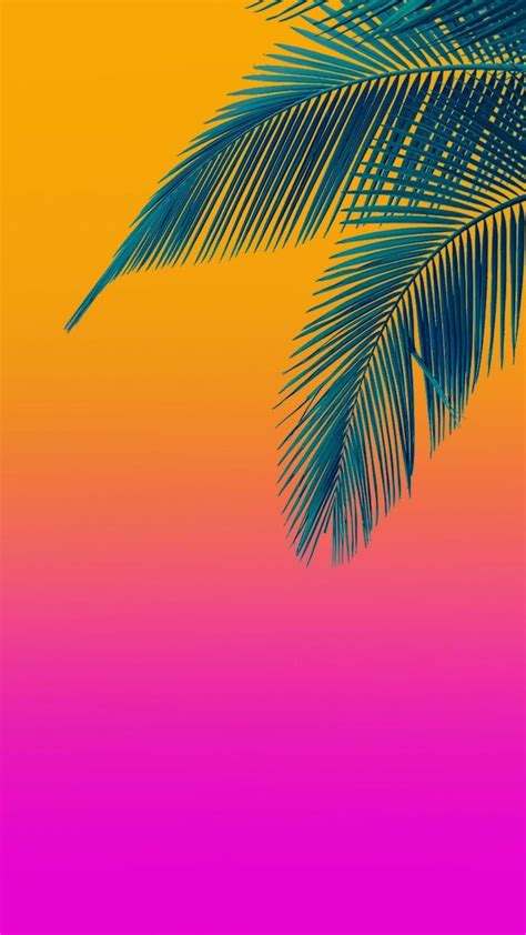 The Palm Tree Is Silhouetted Against An Orange Pink And Yellow