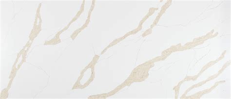 Calacatta Leon Gold Msi Q Quartz Countertop Slab In Chicago Granite