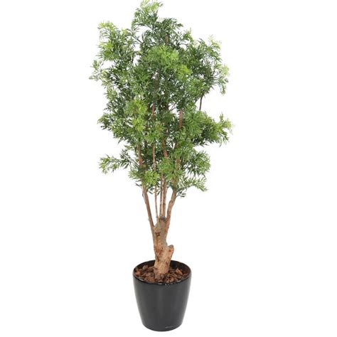 Plante Artificielle Haute Gamme Sp Cial Ext Rieur Aralia Coloris Vert