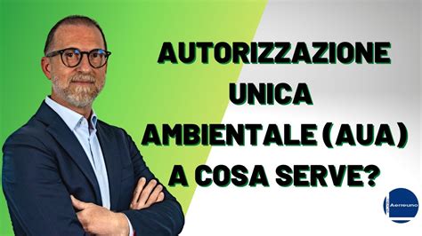 Autorizzazione Unica Ambientale AUA Autorizzazioneunicaambientale