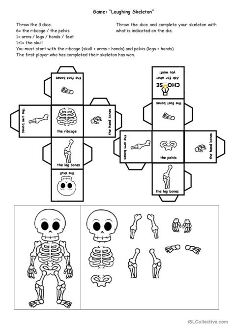 Free Skeleton Worksheet For Kindergarten Download Free Skeleton