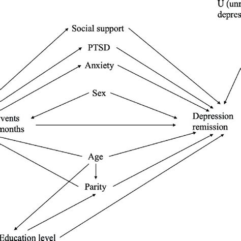 Directed Acyclic Graph Stressful Life Events And Depression Severity