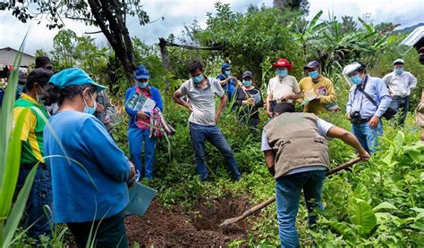 Agricultores Piuranos En Incertidumbre Por Aumento De Precios En