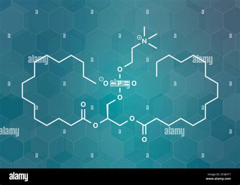 Molécula Tensioactiva Pulmonar Estructura Química De La