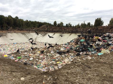 Región de Los Lagos Tercer Tribunal Ambiental confirma sanción