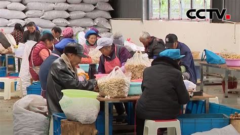 百村脱贫记 卯家湾安置区：扶贫车间解决易地扶贫搬迁贫困人口就业 《中国新闻》cctv中文国际 Youtube