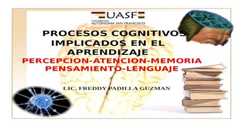 Procesos Cognitivos Implicados En El Aprendizaje Percepcion Atencion Memoria Pensamiento