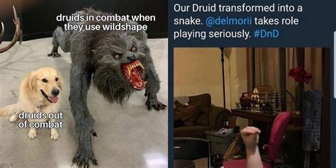 10 Dungeons And Dragons Memes That Perfectly Sum Up Playing A Druid