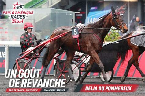 Pronostic Quint Pmu Du Prix D Amerique Races Zeturf Prix De France