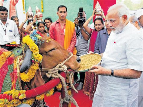 DeshGujarat On Twitter PM Modi To Launch Mukhyamantri Gau Mata Poshan