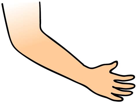 Gambar Tangan Animasi Png