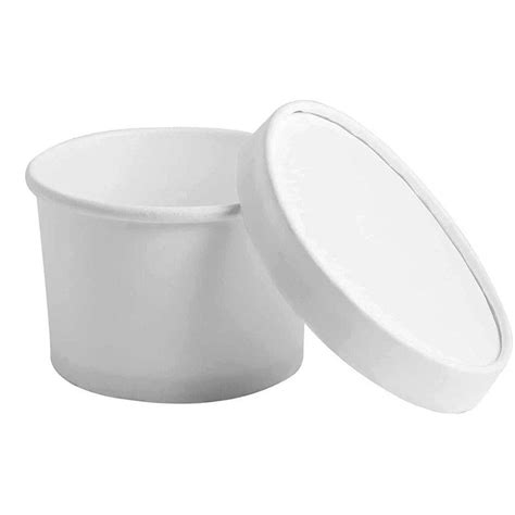 White 250ml Paper Food Containers With Lid For Packaging At Rs 450piece In Lucknow