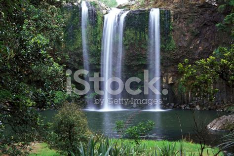 Whangarei Falls Stock Photo | Royalty-Free | FreeImages